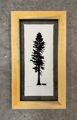 Ponderosa Framed in Salvaged Ponderosa 1