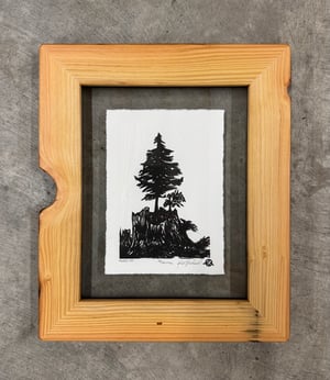 Nurse Log Framed on Salvaged Fir