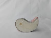 Image 1 of Conditioner Bar 45g