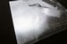 Image of Silkscreen print - PEELING OFF THE CARVE - Sergej Vutuc
