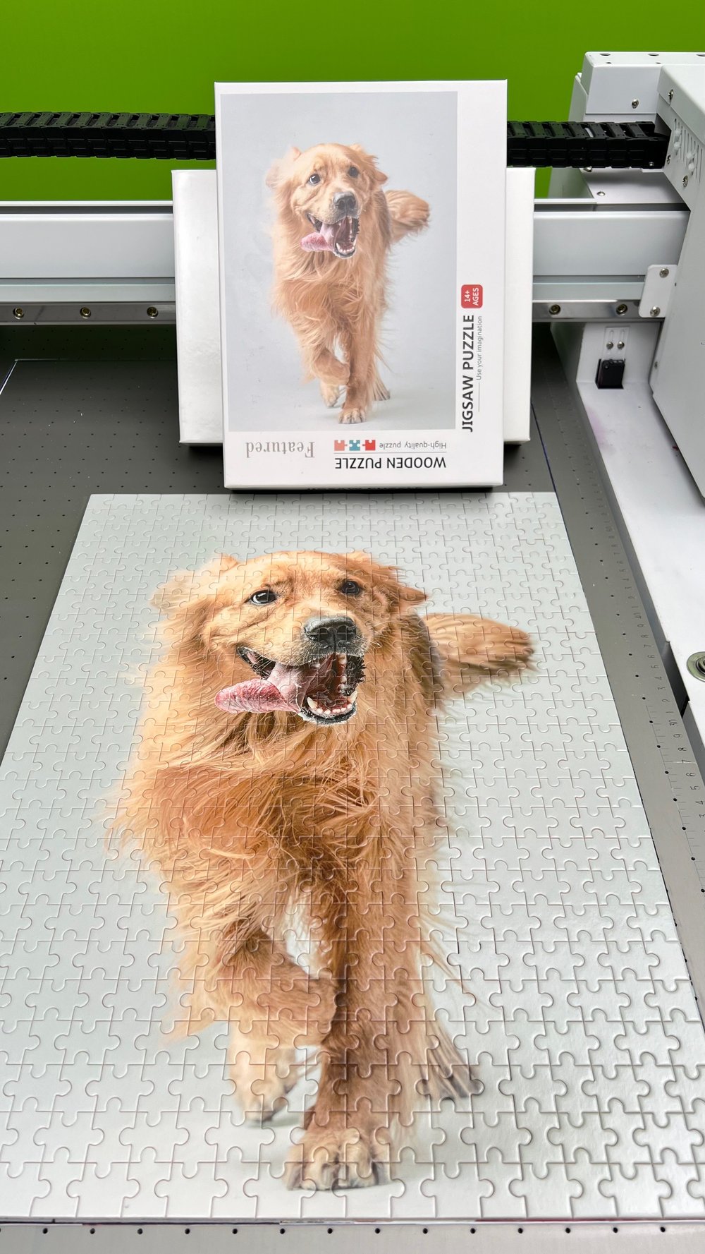 Image of Puzzle from Dog’s Pics