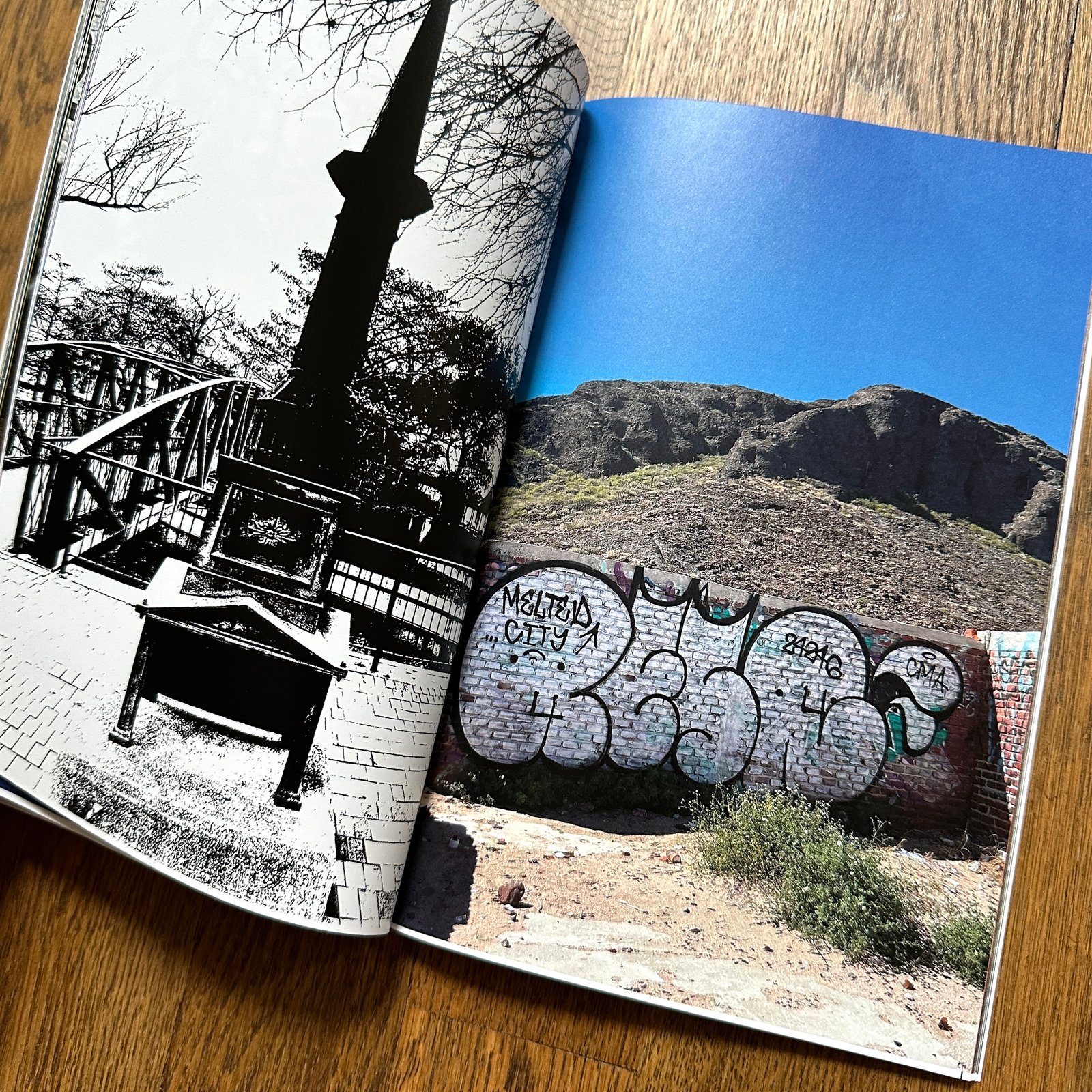 Last copy! RESQ x ZOMBRA | Carnage NYC
