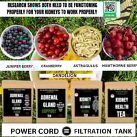 Image 1 of FREE SHIPPING-NEW RESTORATIVE AND REJUVENATING ADRENAL GLANDS KIDNEY HEALTH KIT