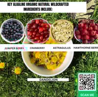 Image 2 of FREE SHIPPING-NEW RESTORATIVE AND REJUVENATING ADRENAL GLANDS KIDNEY HEALTH KIT