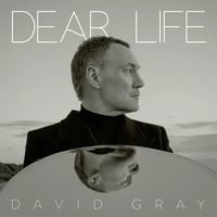 Image 1 of David Gray - Dear Life