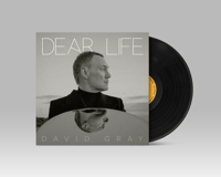 Image 2 of David Gray - Dear Life