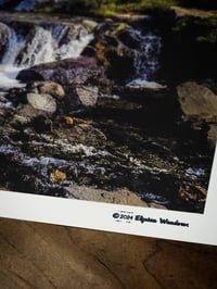 Image 2 of Jacks River Falls Poster