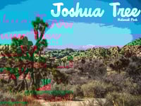 Image 1 of Joshua Tree Poster