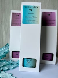 100ml Diffusers