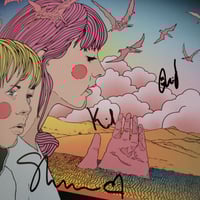 Image 3 of Reptilians (10-Year Anniversary Edition) 2xLP - SIGNED