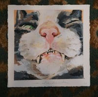 Image 1 of Retrato Mascota / Pet Portrait