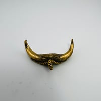 Image 5 of OG BULL HORNS