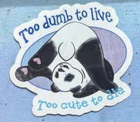 Image 1 of Too Dumb To Live, Too Cute to Die sticker