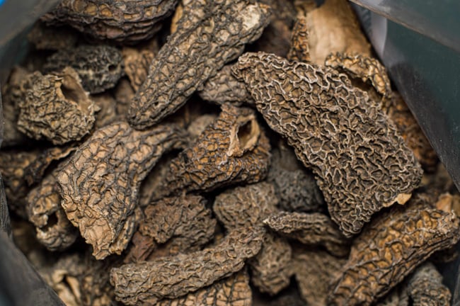 Sel de Morilles de Feu