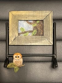 Image 1 of Owl brooch with picture brooch holder