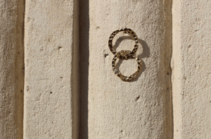 Image of Boucles d'oreilles martelées double 