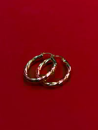 Image 2 of Bamboo Twist Earrings