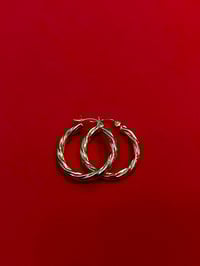 Image 1 of Bamboo Twist Earrings
