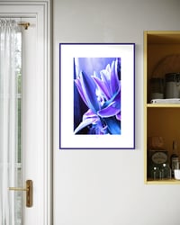 Image 3 of LUSCIOUS LAVENDER (36X24)