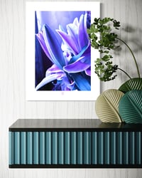 Image 6 of LUSCIOUS LAVENDER (36X24)