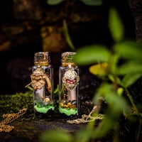 Image 8 of Sun Wukong Monkey King - Message in a Bottle