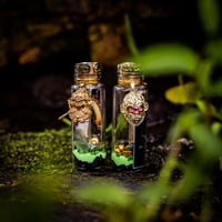 Image 11 of Sun Wukong Monkey King - Message in a Bottle