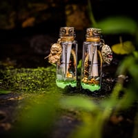 Image 13 of Sun Wukong Monkey King - Message in a Bottle