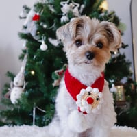 Image 1 of The Christmas Scarf