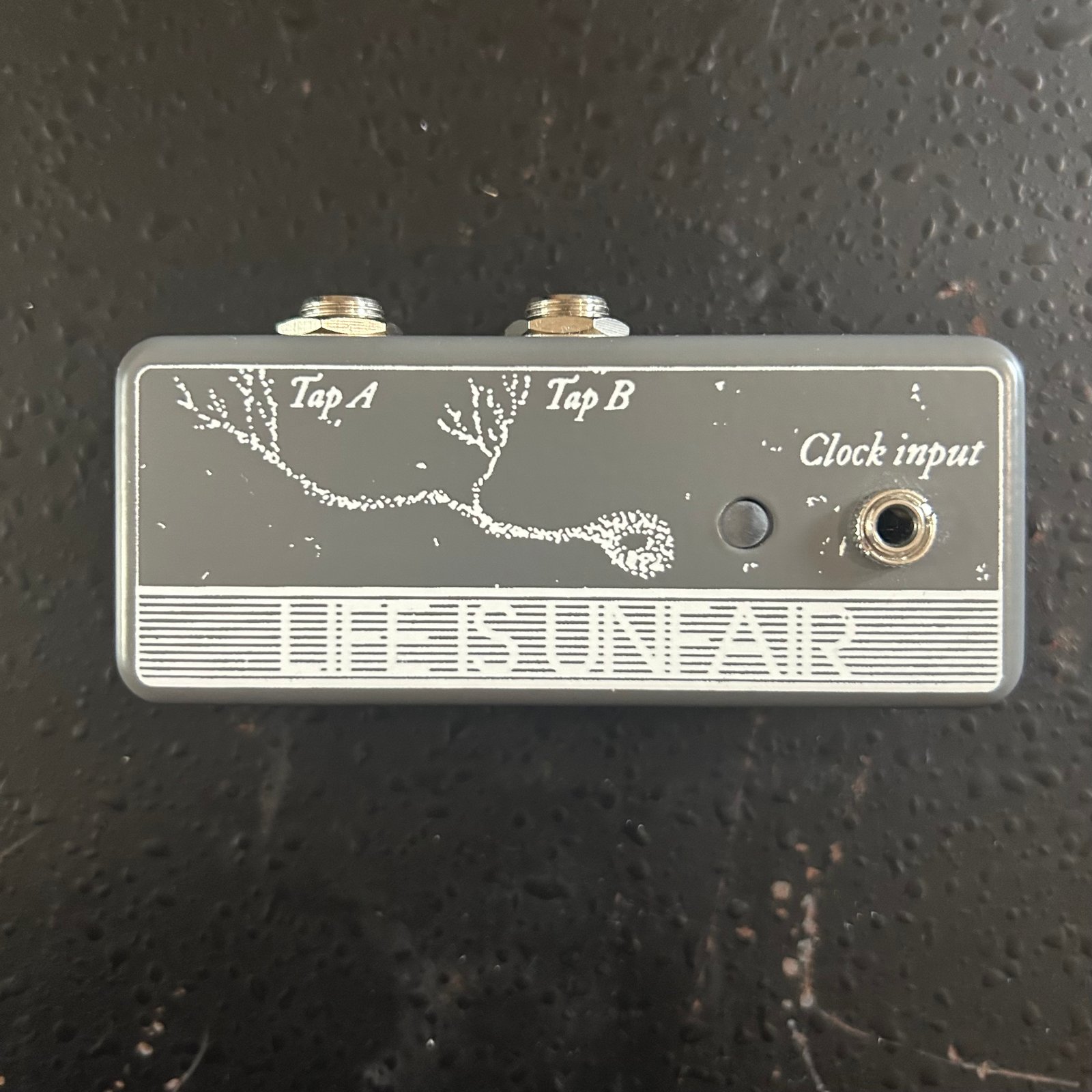 IMG_7896.jpg?auto=format&fit=