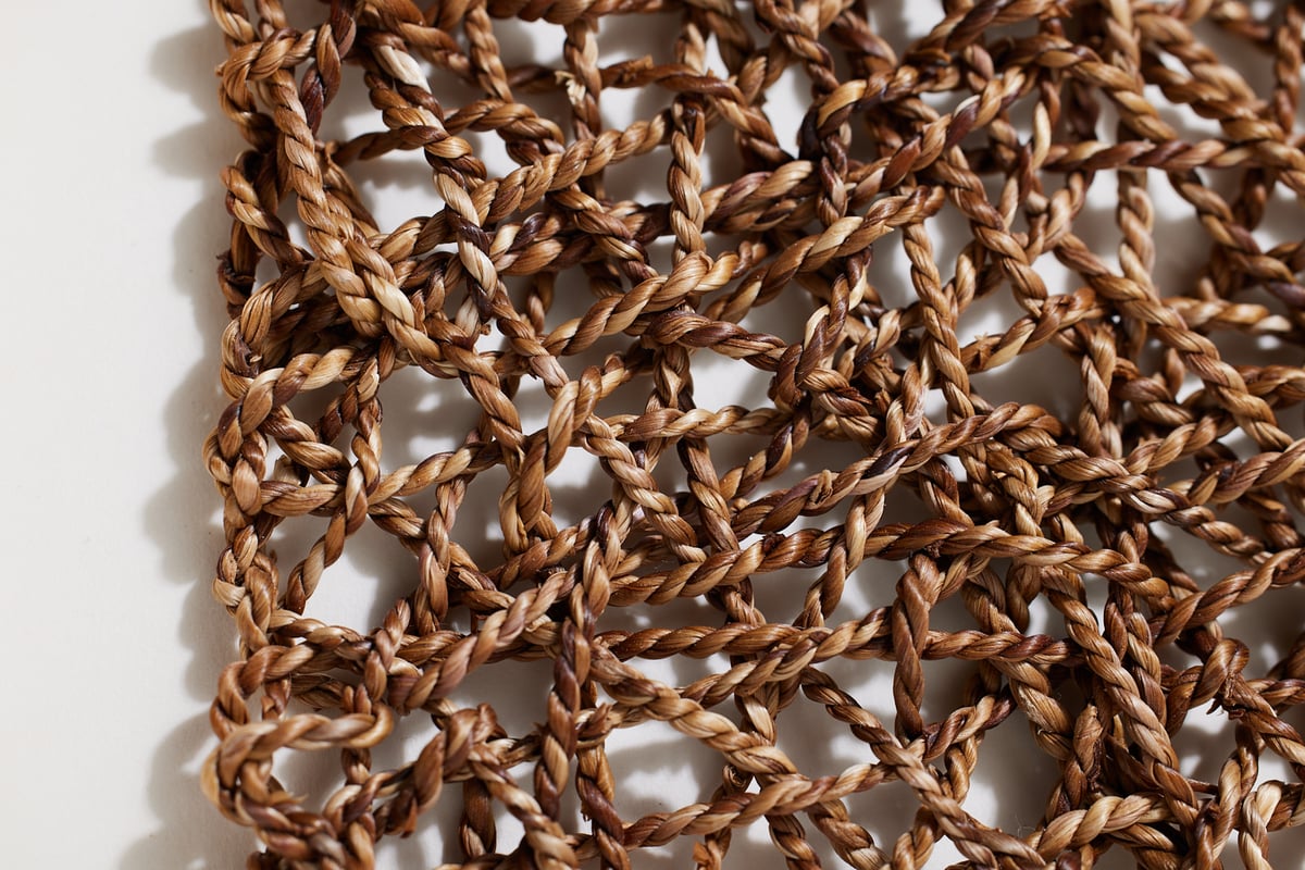 Botanical Weave: postcard pack | Alice Fox