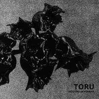 Image 5 of Toru - Velours Dévorant LP