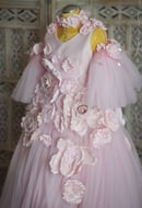 Image 2 of Amelia dress - The Spring Princess