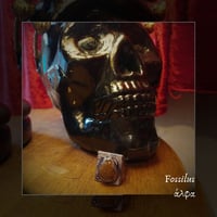 Image 1 of ☽ Fossilus ☾