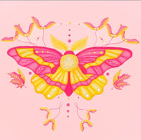 Rosy Maple Moth Art Print