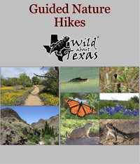 Image 1 of GUIDED NATURE HIKES