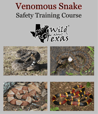Image 1 of VENOMOUS SNAKE SAFETY TRAINING