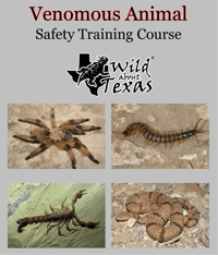 Image 1 of VENOMOUS ANIMAL SAFETY TRAINING