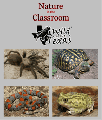 Image 1 of NATURE IN THE CLASSROOM