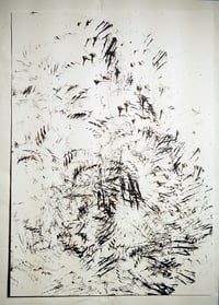 Feather and Ink Drawing 3 (medium)