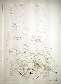  Feather and Ink Drawing 4 (medium)