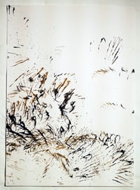 Feather and Ink Drawing 1 (small)