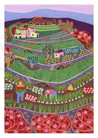 Culture des oignons en Cévennes