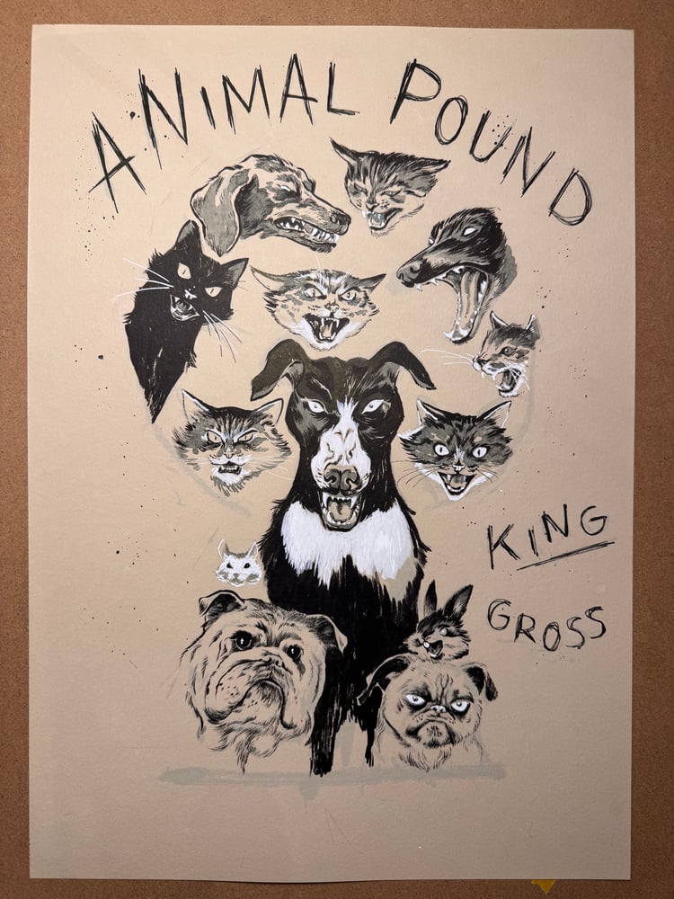 Image of Animal Pound variant cover