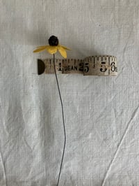 Image 1 of Black Eyed Susan