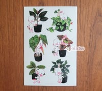 Image 1 of houseplants sticker sheets