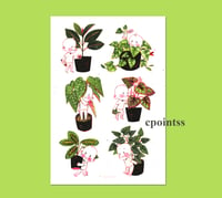 Image 2 of houseplants sticker sheets