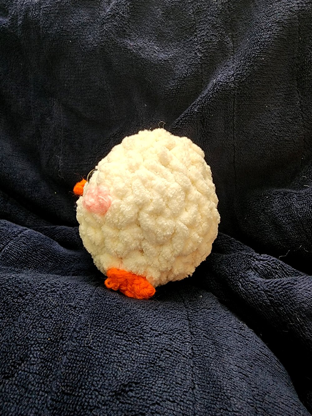Image of Chicks