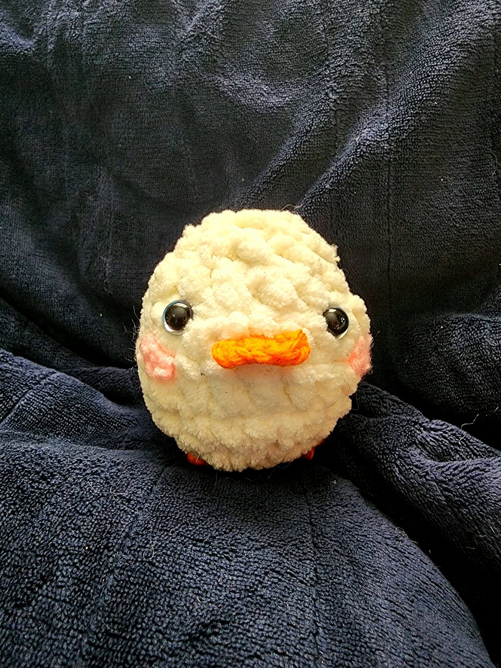 Image of Chicks