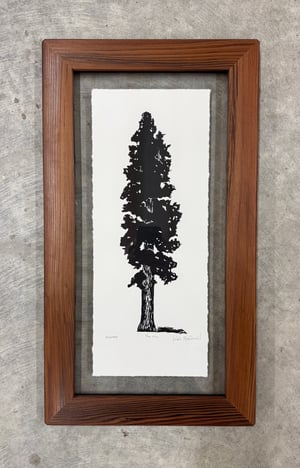 Redwood Framed in Salvaged Redwood 2