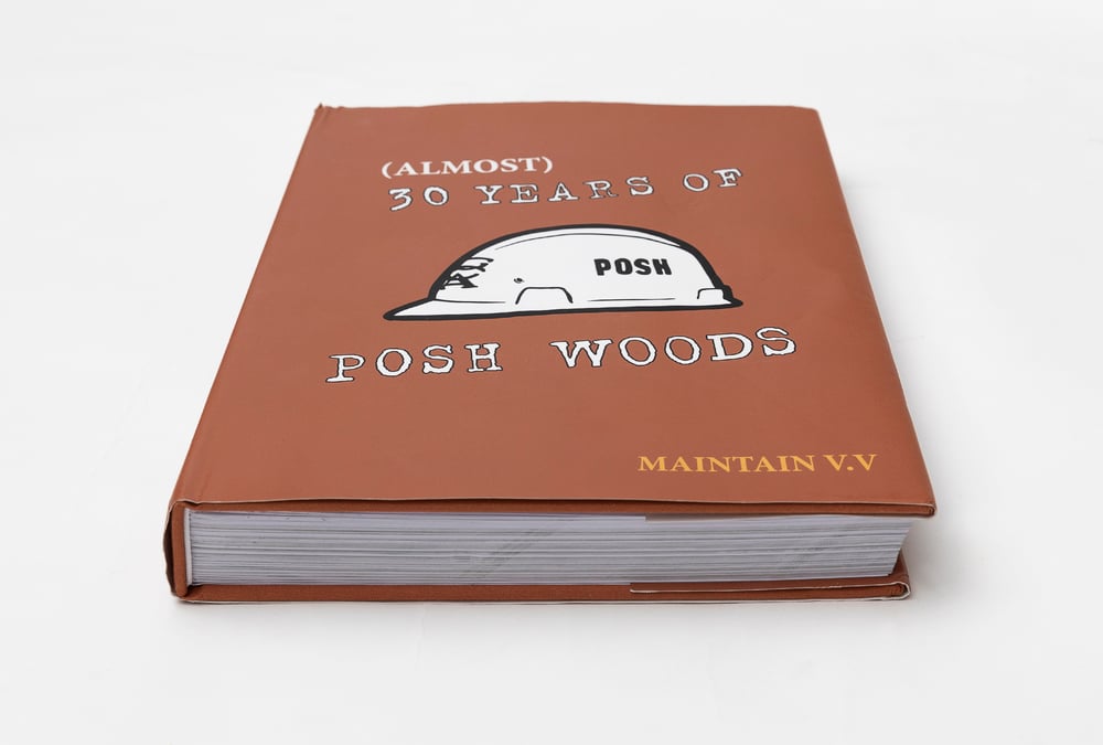 MAINTAIN V.V - "(ALMOST) 30 YEARS OF POSH WOODS"